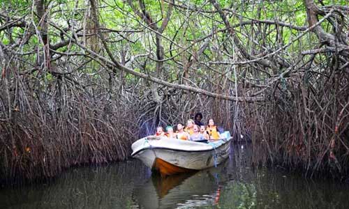 Madu Ganga River